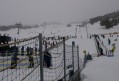 0806-1346 Perisher valley (8060201)